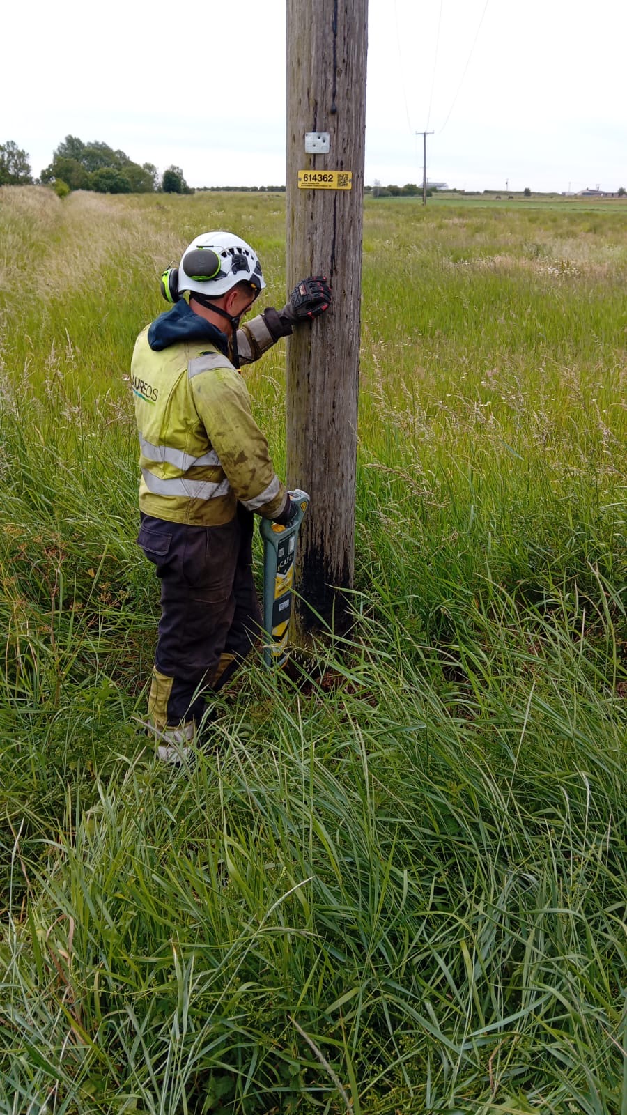 Linesman inspecting and testing a wood pole in open grassland