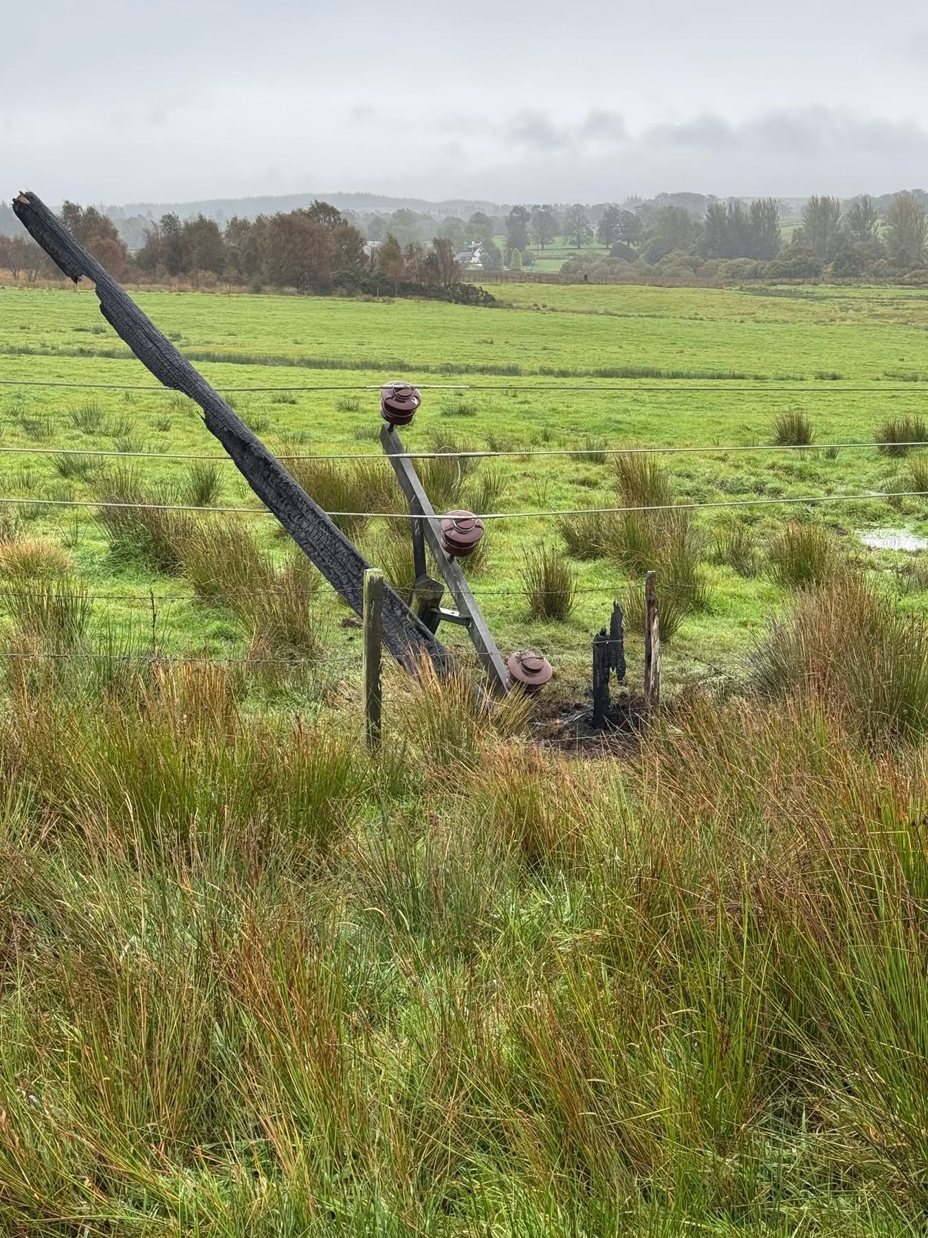 Pole replacement works in a field