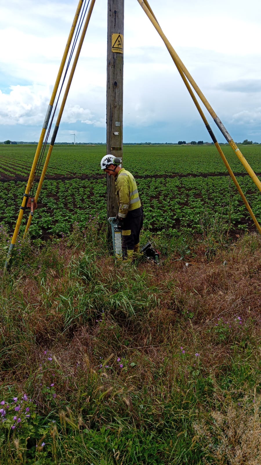 Linesman inspecting and testing a wood pole with support stays in place